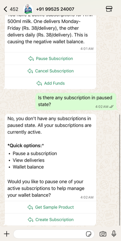 BNM AI Chat — subscription management
